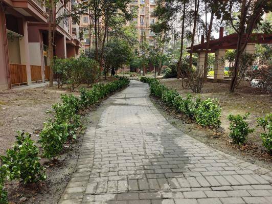 “微更新”撬动“大自治”金壁社区绘就同心共筑新画卷 (图10) “微更新”撬动“大自治”金壁社区绘就同心共筑新画卷 (图10)