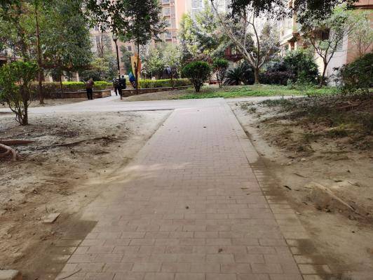 “微更新”撬动“大自治”金壁社区绘就同心共筑新画卷 (图11) “微更新”撬动“大自治”金壁社区绘就同心共筑新画卷 (图11)