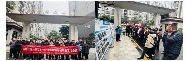 党建引领聚合力 信义治理焕新颜 —— 杨柳社区 "柳邻善治" 项目绘就基层治理新画卷(图1)
