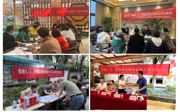 党建引领聚合力 信义治理焕新颜 —— 杨柳社区 "柳邻善治" 项目绘就基层治理新画卷(图4)