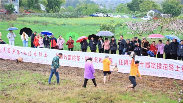 遂宁蓬溪：桃花为媒，“新农人”唱响振兴曲(图2)