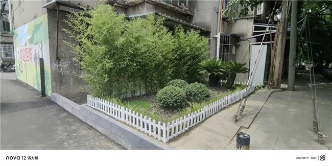 益动东洪谱新篇 三桥共治焕新颜 —— 东洪社区 “三桥之歌” 居民素质提升项目圆满收官(图5)