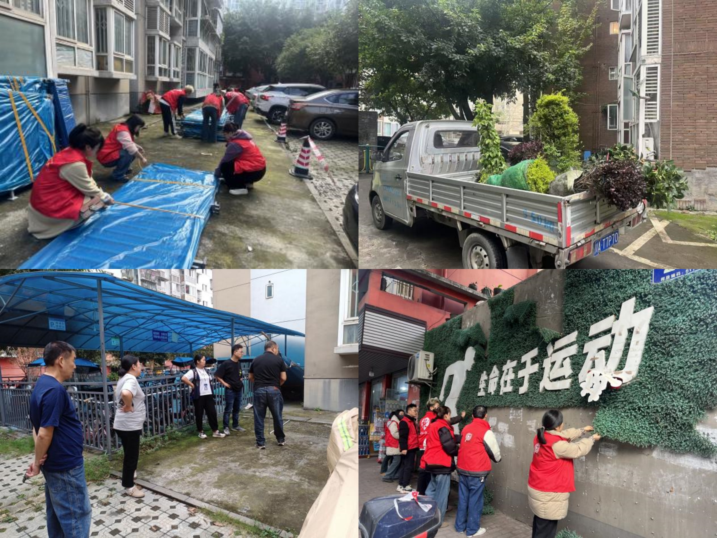 “微更新”暖人心，“共治理”绘新景  ——抚江社区微更新顺利开展(图1)