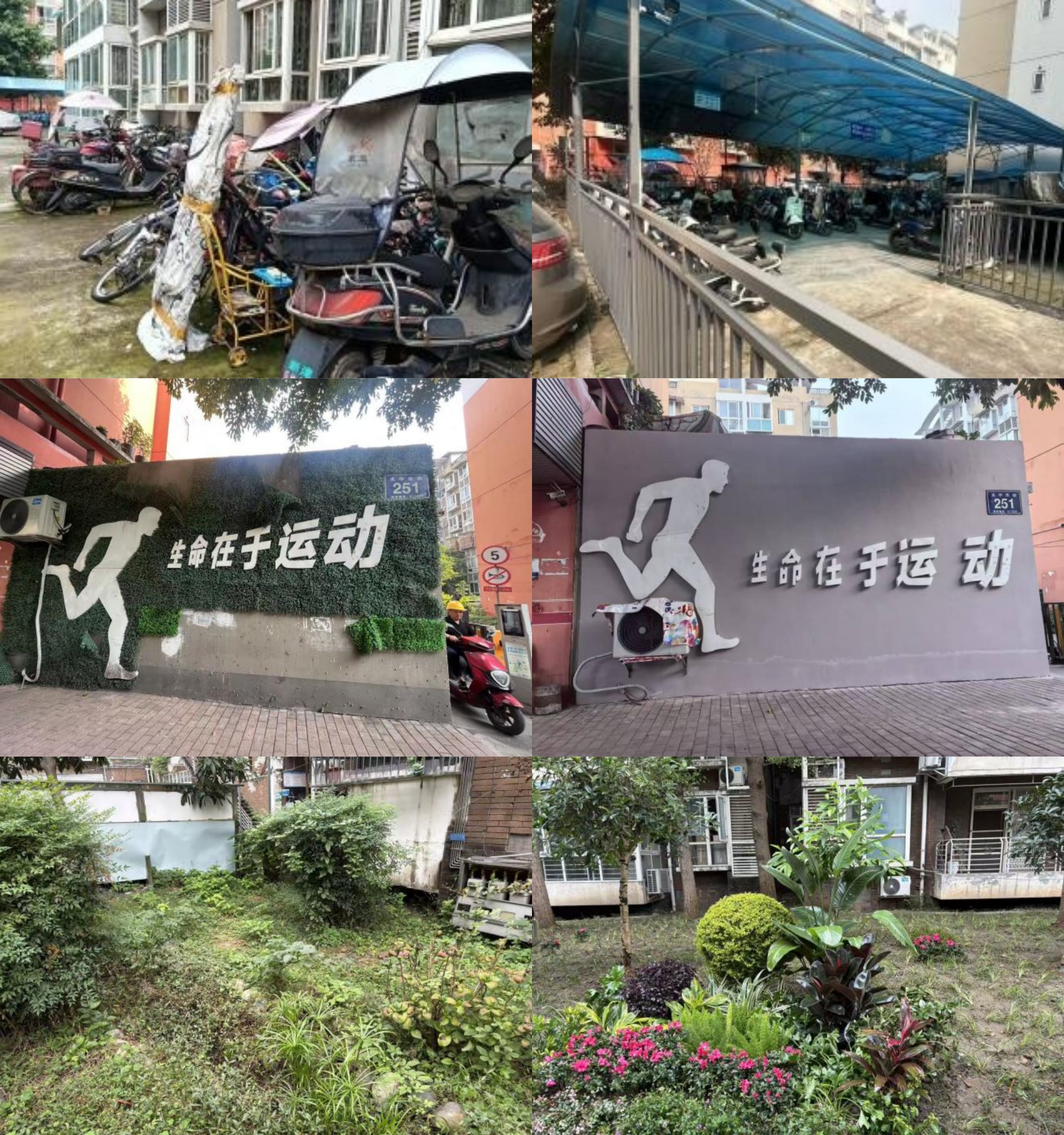 “微更新”暖人心，“共治理”绘新景  ——抚江社区微更新顺利开展(图2)