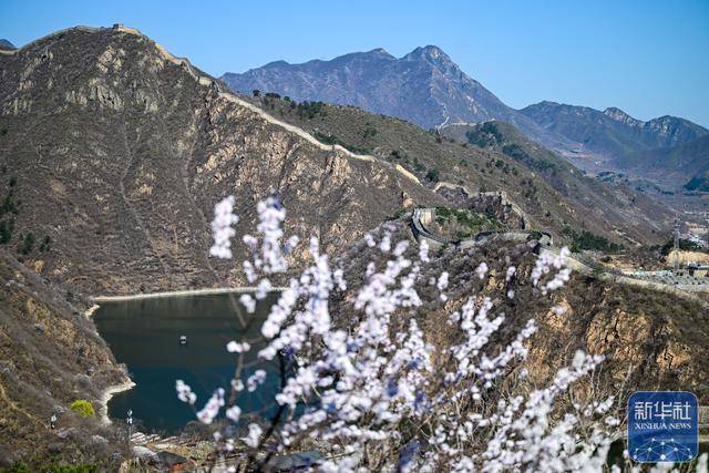 黄花城水长城：山花烂漫 春意正浓 (图5)