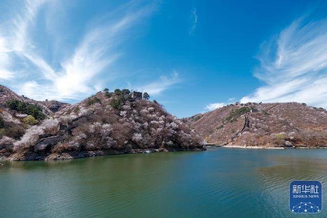 黄花城水长城：山花烂漫 春意正浓 (图8)