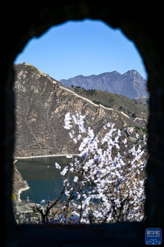 黄花城水长城：山花烂漫 春意正浓 (图9)