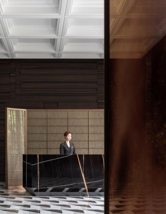 收藏级超级豪宅「LACADIERE天览」二期新品亮相(图19)