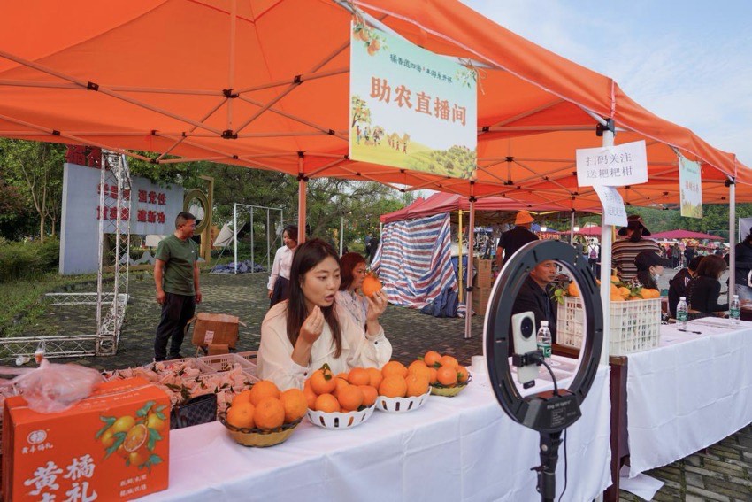本土主播正对着镜头热情推介黄丰柑橘。赵俊豪摄