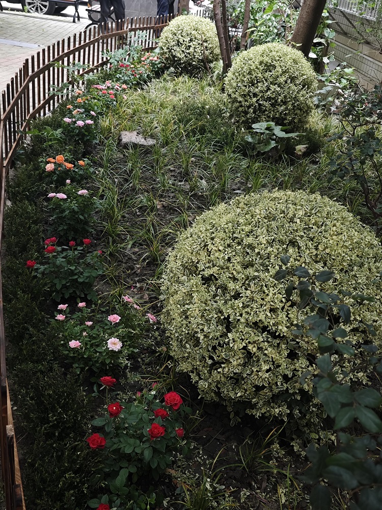 从“环境改造”到“自治赋能”:五丁社区“丁小院”微更新的实践探索(图4) 从“环境改造”到“自治赋能”:五丁社区“丁小院”微更新的实践探索(图4)