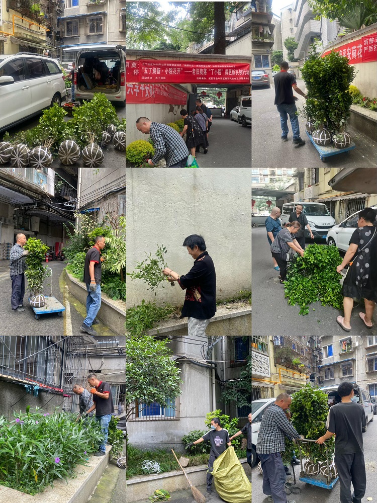 从“环境改造”到“自治赋能”:五丁社区“丁小院”微更新的实践探索(图5) 从“环境改造”到“自治赋能”:五丁社区“丁小院”微更新的实践探索(图5)