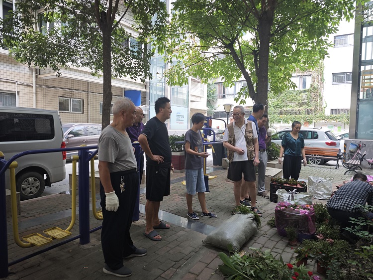 从“环境改造”到“自治赋能”:五丁社区“丁小院”微更新的实践探索(图1) 从“环境改造”到“自治赋能”:五丁社区“丁小院”微更新的实践探索(图1)