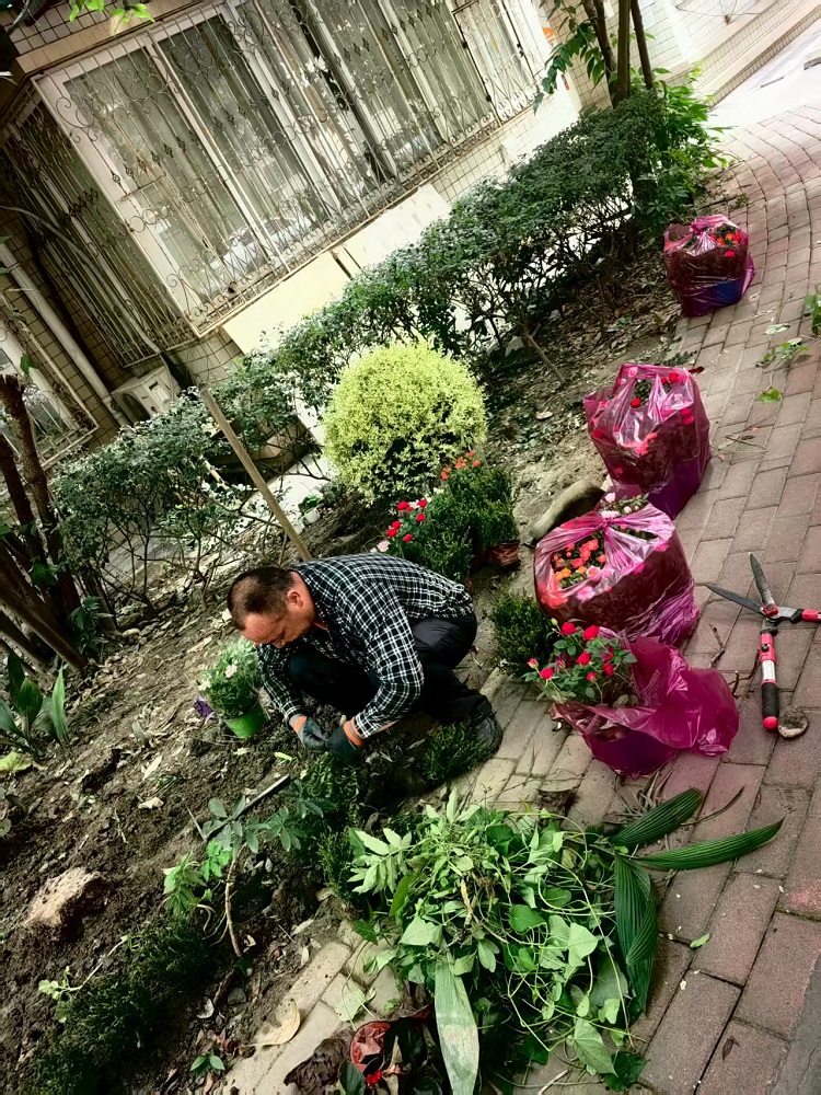 从“环境改造”到“自治赋能”:五丁社区“丁小院”微更新的实践探索(图3) 从“环境改造”到“自治赋能”:五丁社区“丁小院”微更新的实践探索(图3)