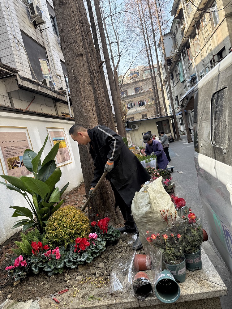 从“环境改造”到“自治赋能”:五丁社区“丁小院”微更新的实践探索(图7) 从“环境改造”到“自治赋能”:五丁社区“丁小院”微更新的实践探索(图7)