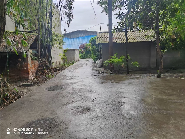 ​墙绘添彩聚合力 微治理赋能美乡村  --太和村开展微空间提质行动(图2)