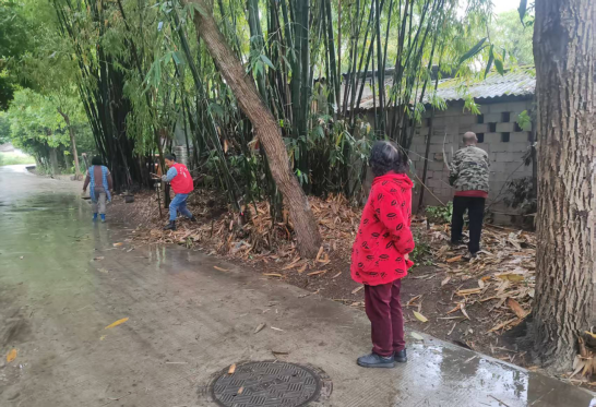 墙绘添彩聚合力 微治理赋能美乡村 --太和村开展微空间提质行动(图6)