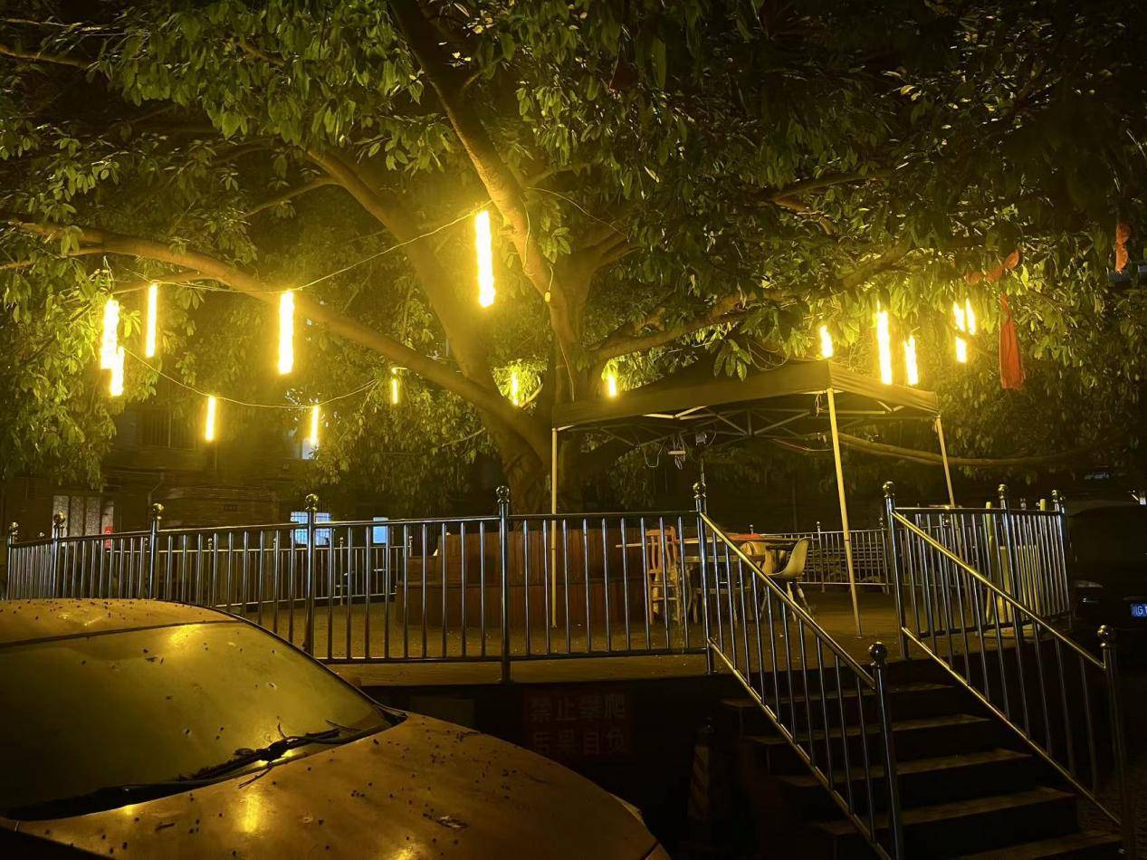 协商绘蓝图，携手变实景：跃进社区构建治理闭环激活社区内生动力 (图9)