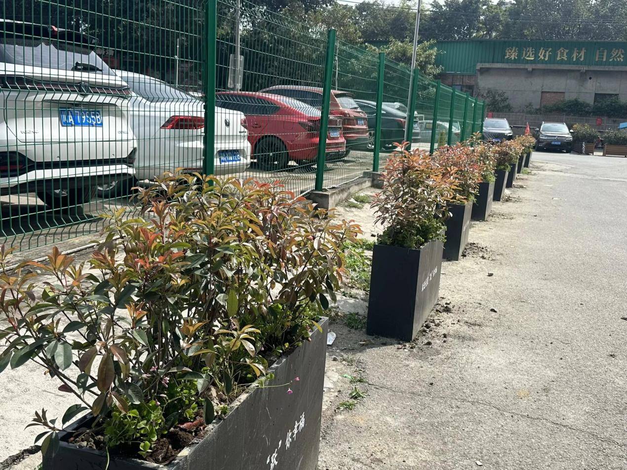 协商绘蓝图，携手变实景：跃进社区构建治理闭环激活社区内生动力 (图11)