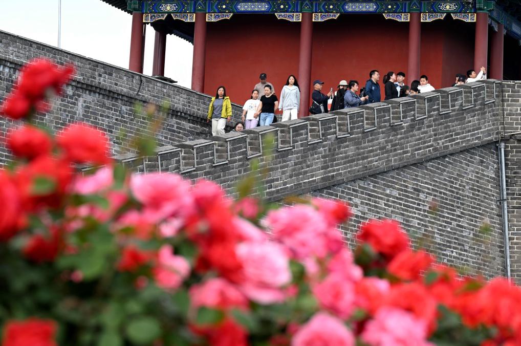 文旅深融 激活强国澎湃动能(图3)