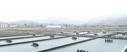 竞逐农业新赛道 乐山做好增值大文章(图2) 竞逐农业新赛道 乐山做好增值大文章(图2)