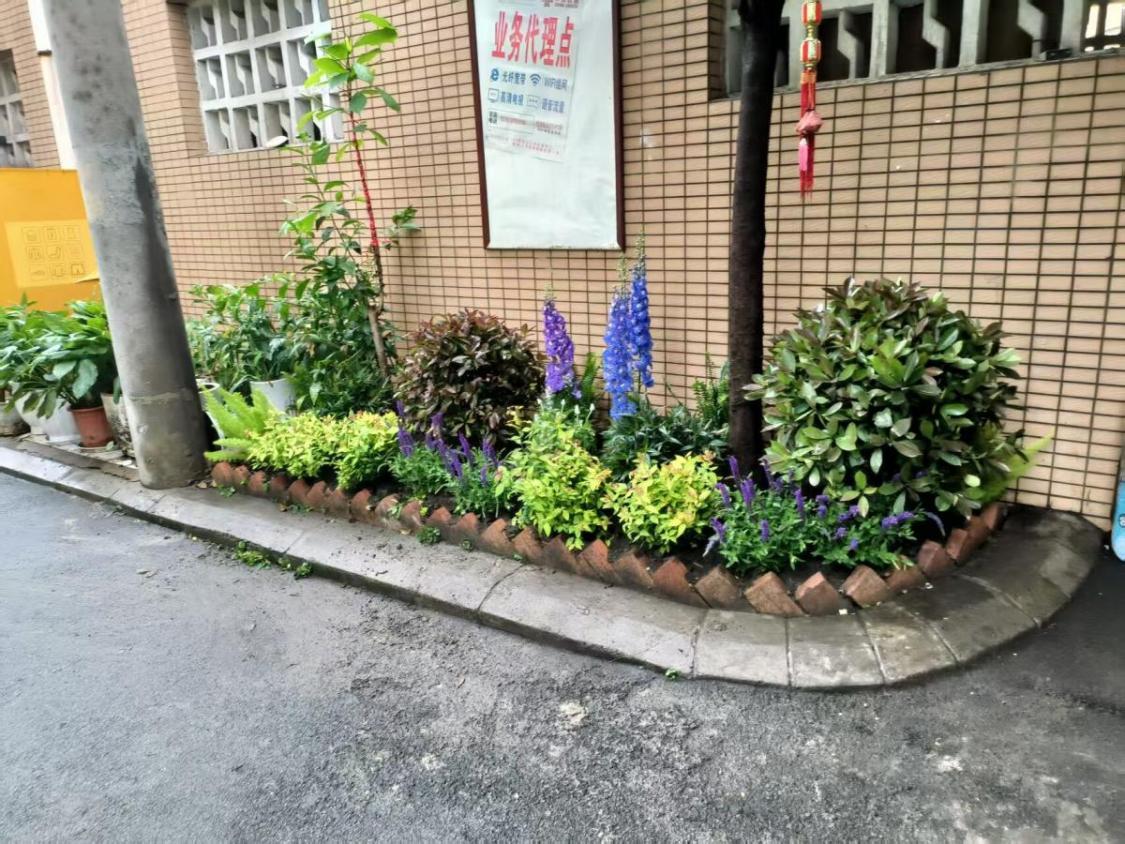 抚琴西路46号院改造后2_proc