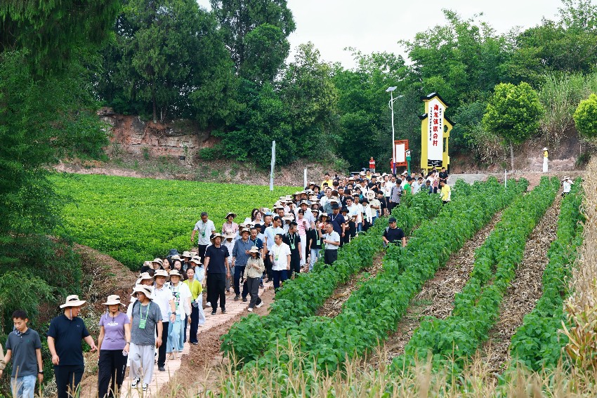 从会场到田野：一场国际大会的“四川答卷”(图2)
