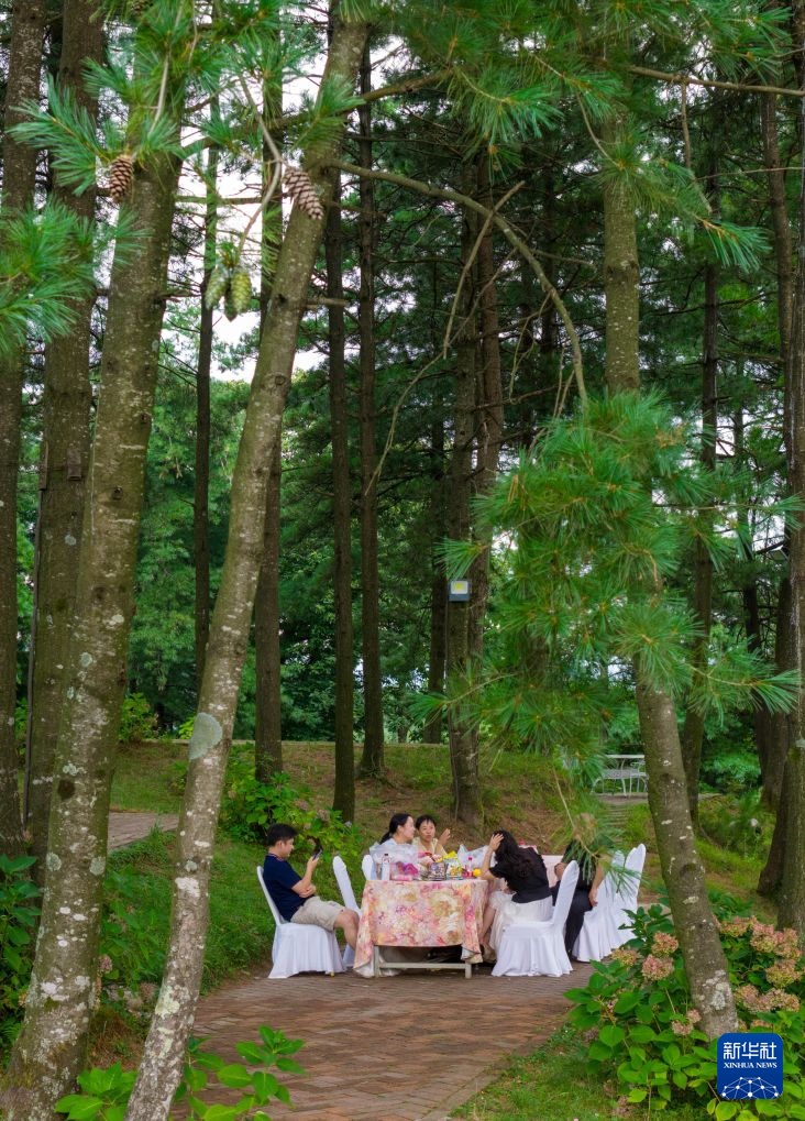 四川曾家山：清凉经济激发消费新活力(图2)